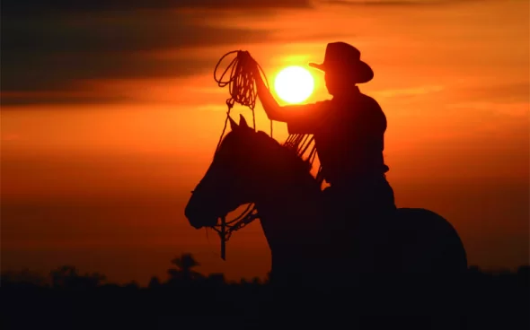 Tour Cabalgata en Tocancipá