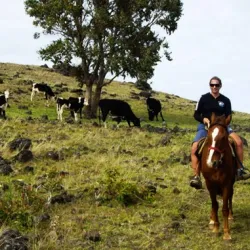 Tour Cabalgata en Tocancipá