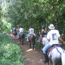 Tour Cabalgata en Tocancipá