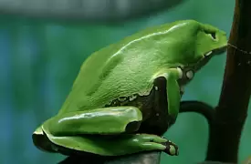 Caminata ecológica en la reserva Bioparque