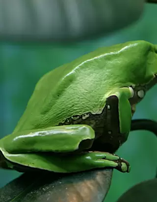 Caminata ecológica en la reserva Bioparque